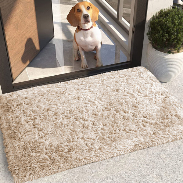 Ebern Designs Kylend Shaggy 60 x 110 cm Indoor Outdoor Door Mat Wayfair.co.uk